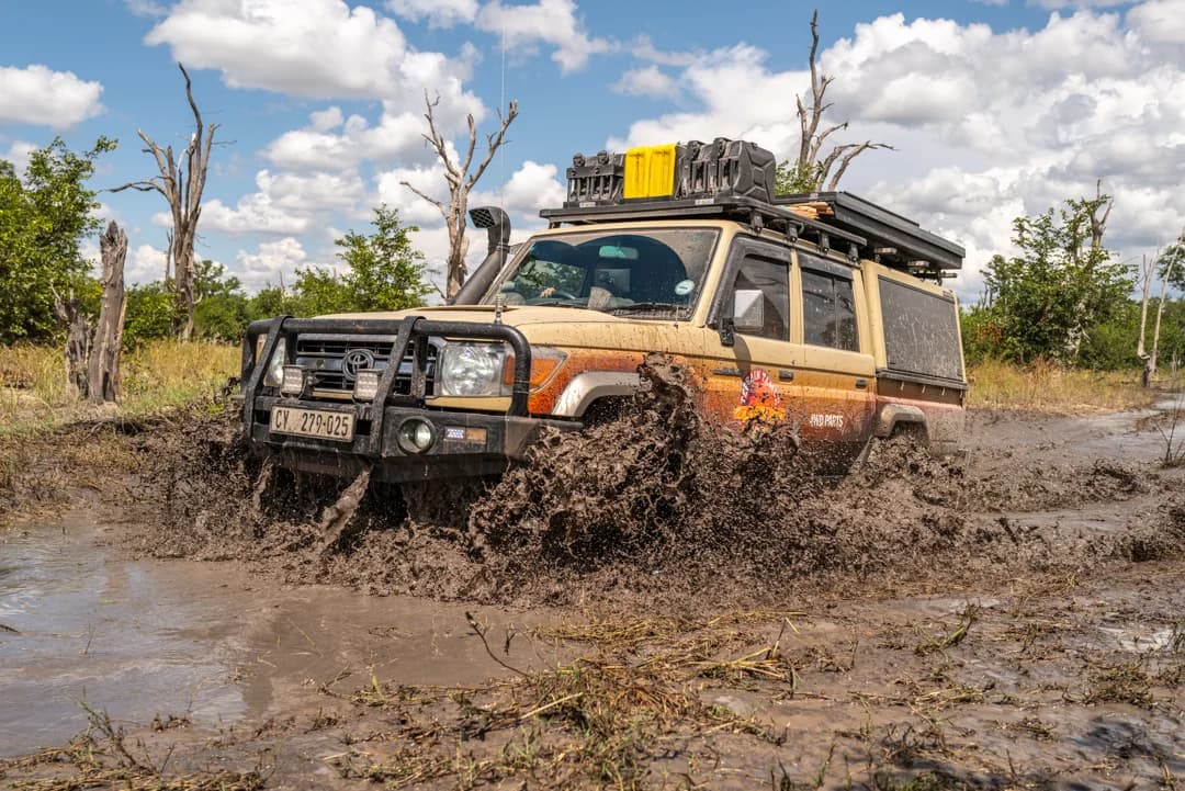Botswana floodplain, 2025
